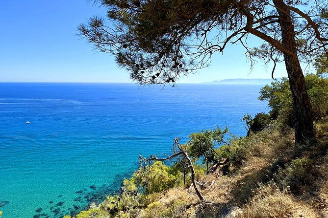 paphos-akamas-gorge-turtle-bay-donkey-farm-jeep-safari-tour