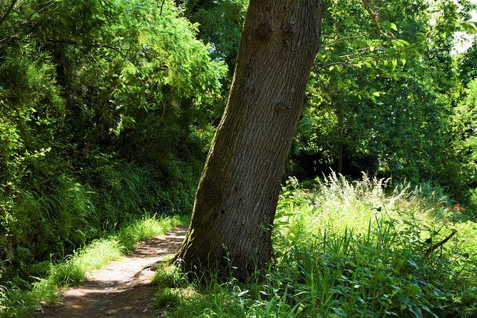 paradise-valley-beauty-walk