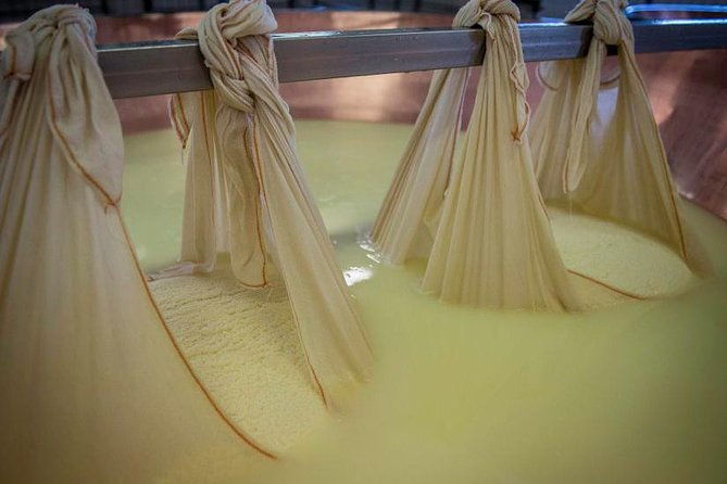 parmigiano-reggiano-cheese-factory-tour-tasting-experience