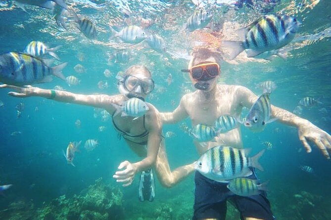 party-catamaran-cruise-with-open-bar-and-snorkeling-montego-bay