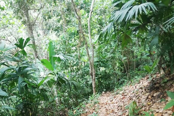 passion-fruit-and-el-saltillo-waterfall-tour