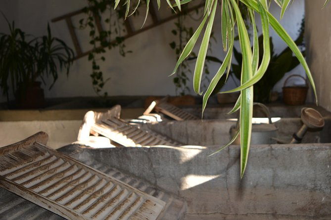 patios-perfums-of-cordoba-festival-tour