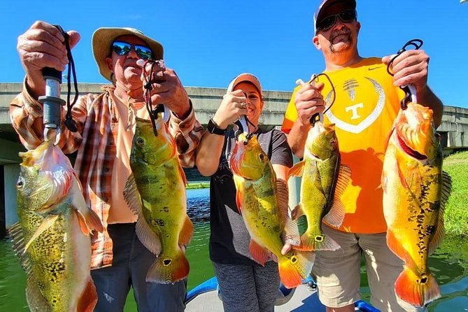 peacock-bass-fishing-trips-near-boca-raton-2