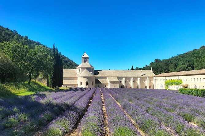 pearls-of-luberon-gordes-rousillon-senanque-private-trip