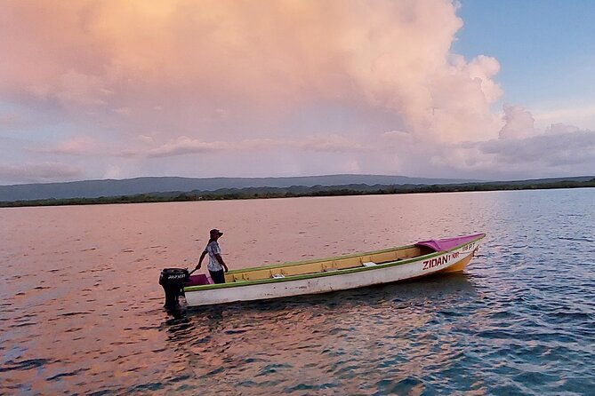 pelican-bar-south-coast-experience-appleton-rum-tour-and-ys-falls