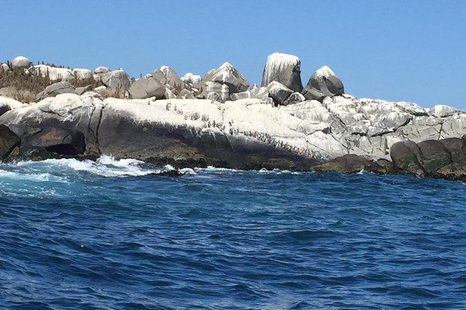 penguins-watching-navigation-horseride-barbecue-from-santiago