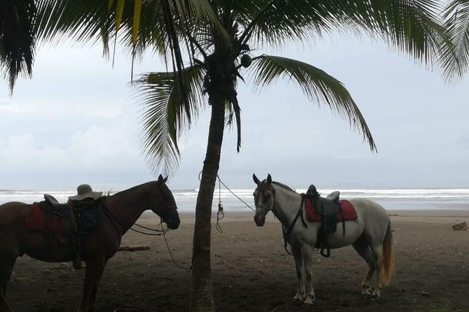 personalized-beach-adventure-near-jaco
