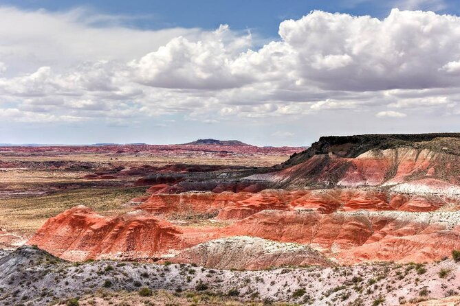petrified-forest-national-park-self-guided-driving-audio-tour
