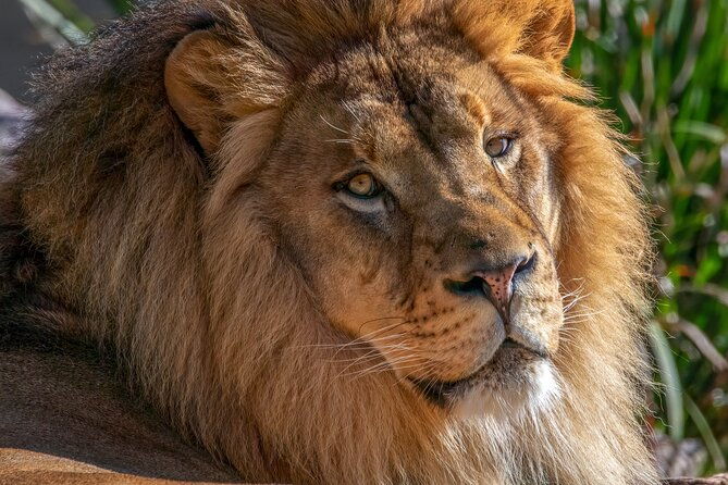 phoenix-zoo-admission-ticket-2