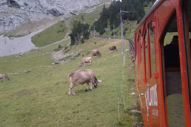 pilatus-golden-roundtrip-exclusive-small-group-tour-from-basel