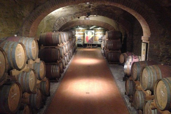 pisa-and-wine-tasting-in-tuscany-from-livorno
