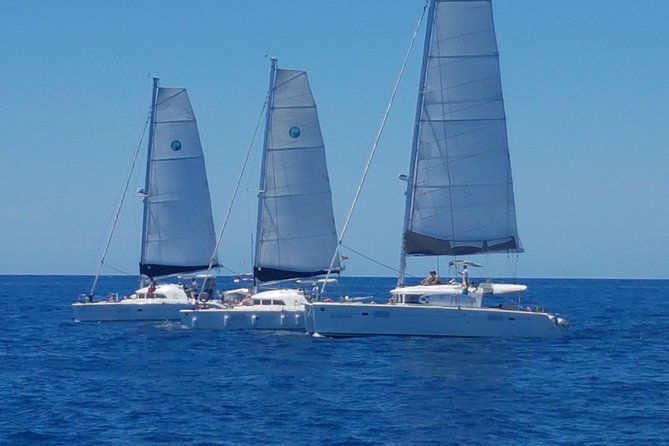 playa-ses-platgetes-catamaran-private-trip