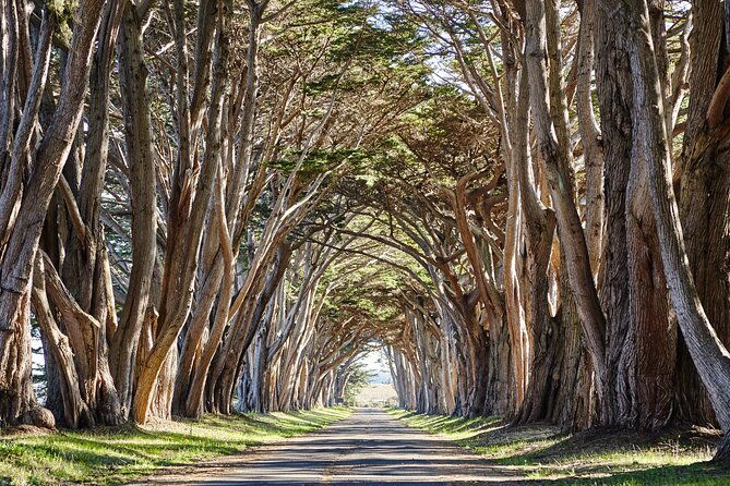 point-reyes-national-seashore-self-guided-driving-audio-tour