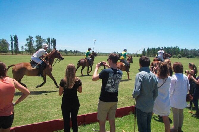polo-match-bbq-and-lesson-day-trip-from-buenos-aires