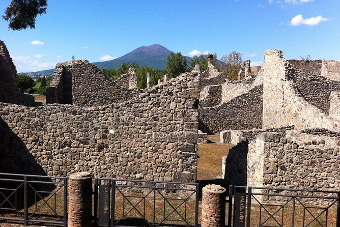 pompeii-private-half-day-tour-from-naplessorrento-amalfi-coast