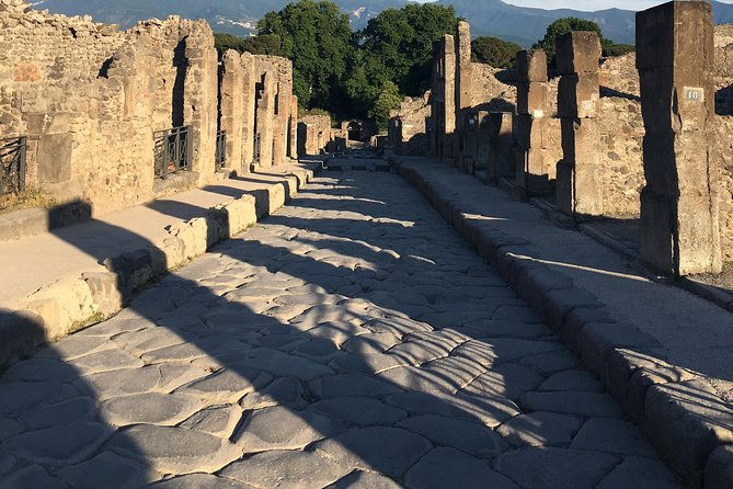 pompeii-with-an-archaeologist-the-original