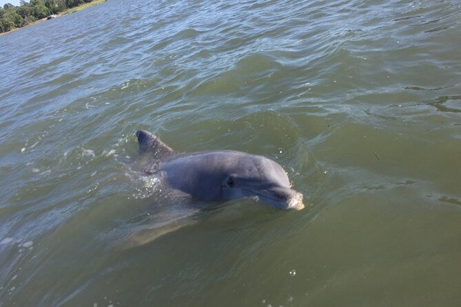 pontoon-boat-rental-in-hilton-head-island-2
