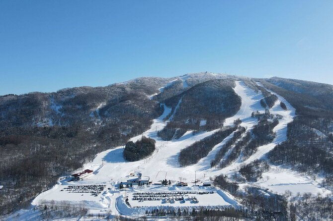 powder-belt-pass-5-days-ticket-brush-dyeing-experience