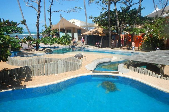praia-do-forte-guarajuba-beach-day-trip