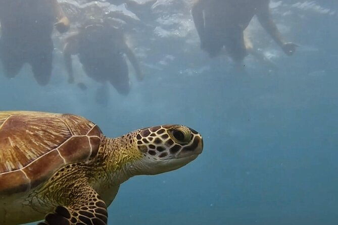 premium-equipment-snorkeling-tour