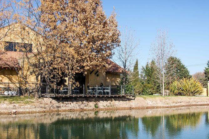 premium-lujan-de-cuyo-wine-tasting-tour-in-a-small-group