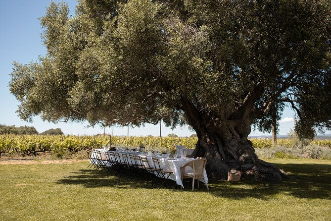 premium-vineyard-tour-tasting