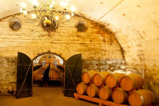 premium-wine-tour-vina-cousino-macul-official-portuguese