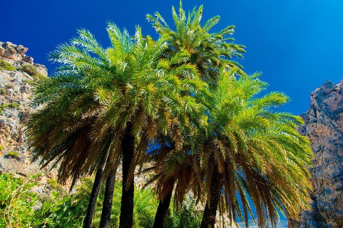 preveli-palm-beach-boat-cruise-rethymnon-town-from-heraklion