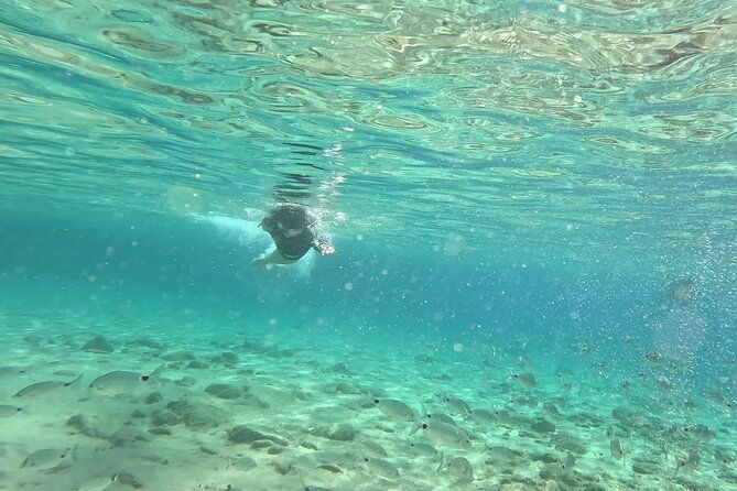 private-1-hour-guided-snorkeling-adventure-with-go-pro-pictures-2