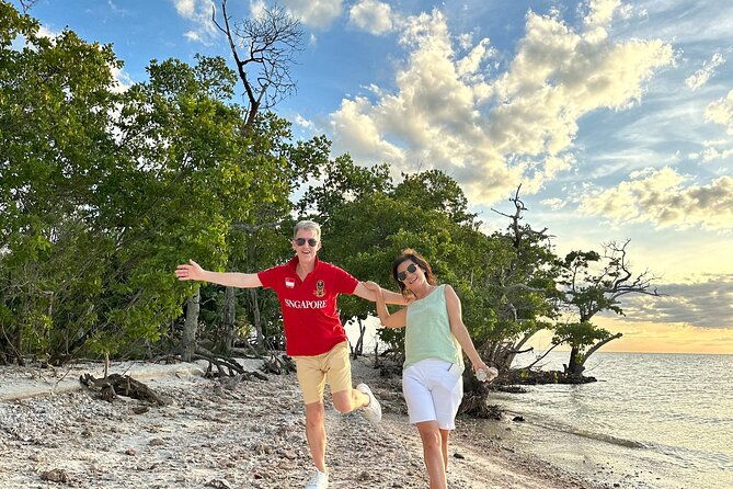 private-2-hour-dolphin-eco-tour-marco-island-fl
