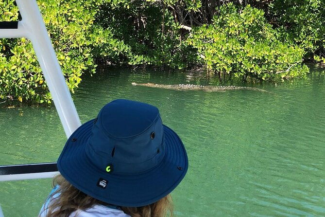 private-2-hour-mangrove-ecotour-2