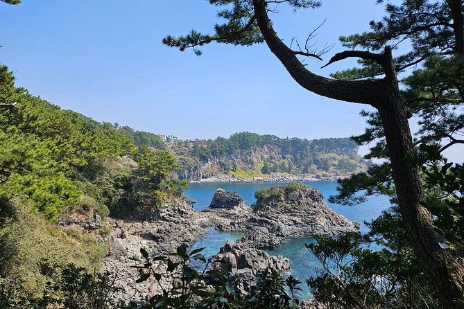 private-2days-tour-a-lot-of-experience-driver-in-jeju-island