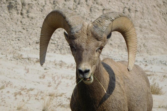 private-5-hour-badlands-tour-with-local-experts