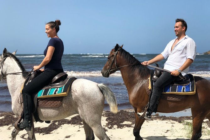 private-advanced-horseback-beach-ride-with-sandy-hoofs-st-lucia