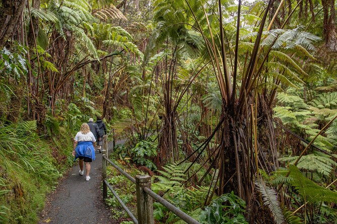 private-all-inclusive-hawaii-volcanoes-national-park-tour