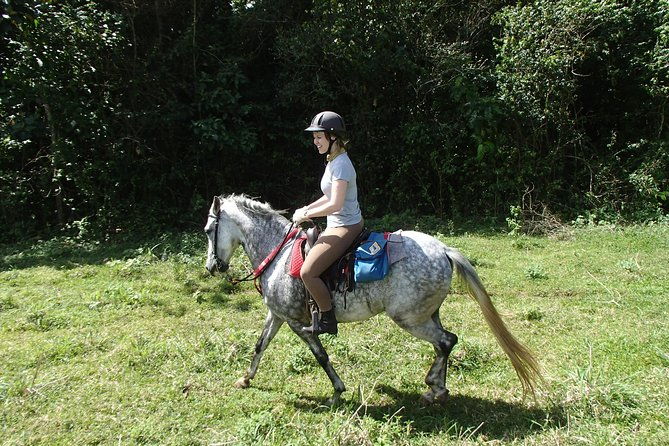 private-and-customized-horseback-riding-adventures