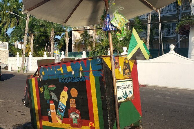 private-and-customized-montego-bay-city-tour