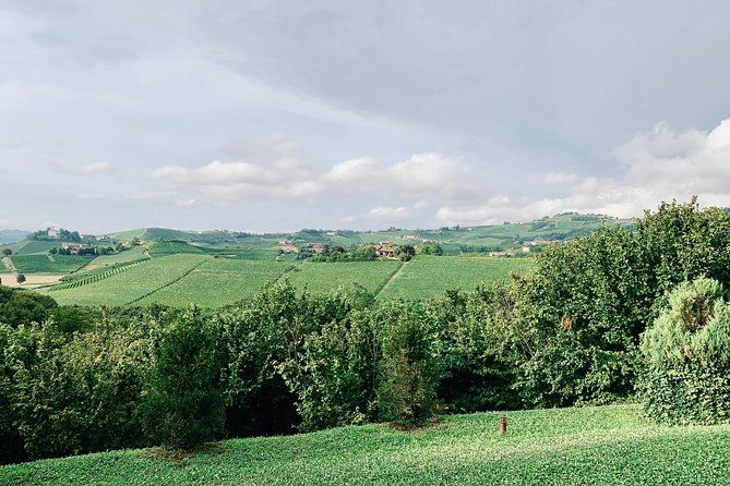 private-barolo-wine-tour-with-winemaker-from-turin