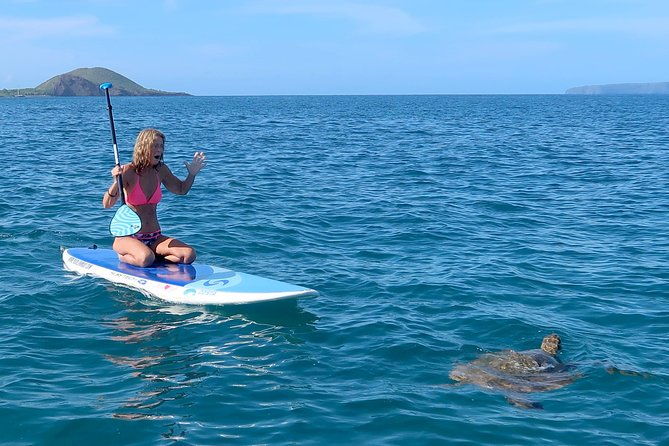 private-beginner-paddleboard-101-lesson-polo-beach-turtle-town
