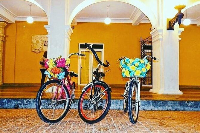 private-bike-tour