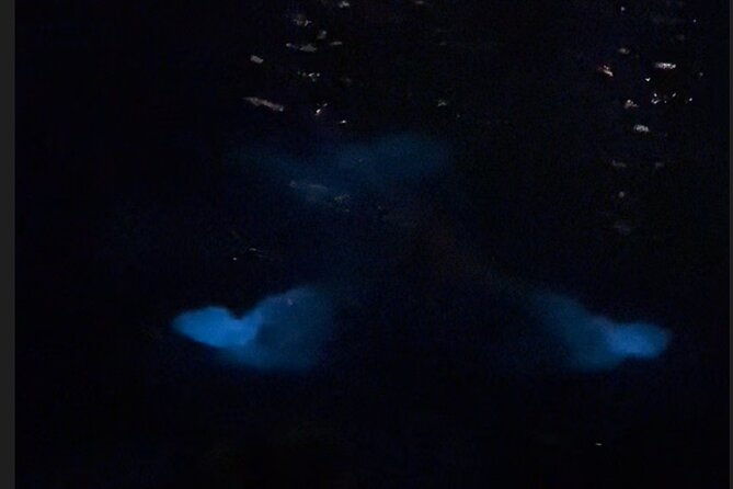 private-bioluminescence-tour