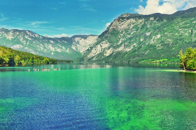 private-bohinj-vogel-tour-from-bled