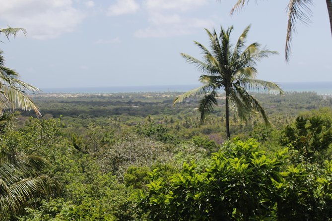private-buggy-tour-sapiranga-reserve-forte-beach-by-emytour