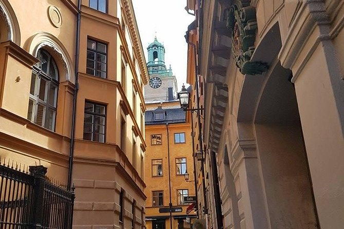 private-car-tour-of-stockholm-with-a-live-guide-including-the-vasa-museum