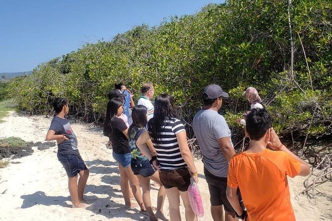 private-charles-darwin-station-tour-tortuga-bay-beach-with-lunch