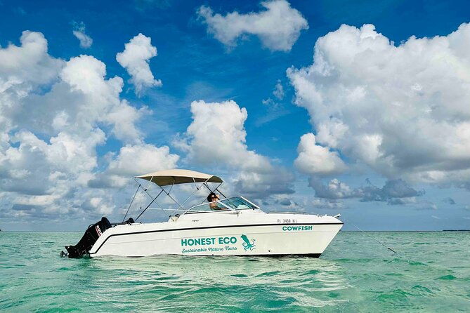 private-charter-6-passenger-sandbar-snorkel-dolphins