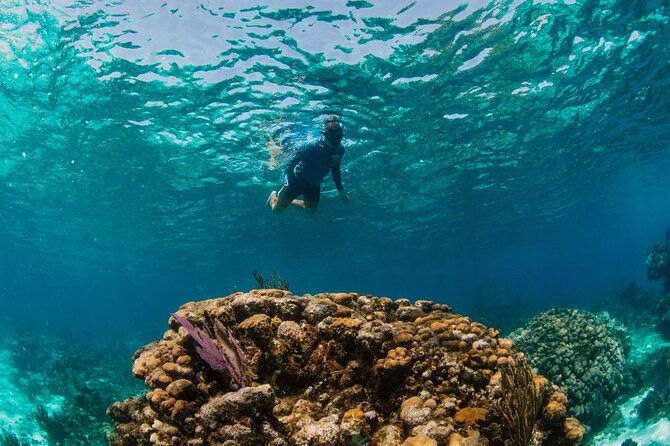 private-charter-reef-fishing-stingray-city-snorkel-mangroves