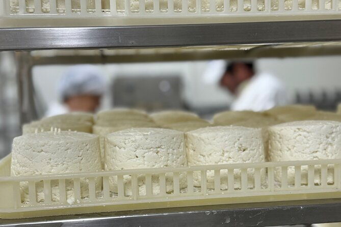 private-cheese-factory-visit-wine-tasting-tile-painting-tour-2