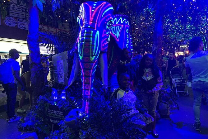 private-christmas-lights-tour-in-medellin-only-holiday-season
