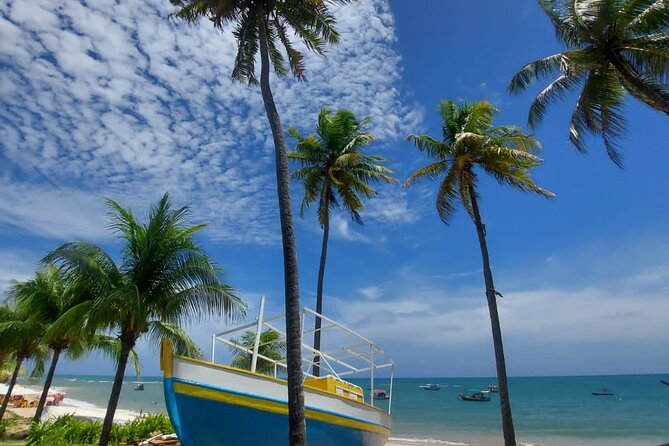 private-city-tour-with-beach-stop-for-swimming